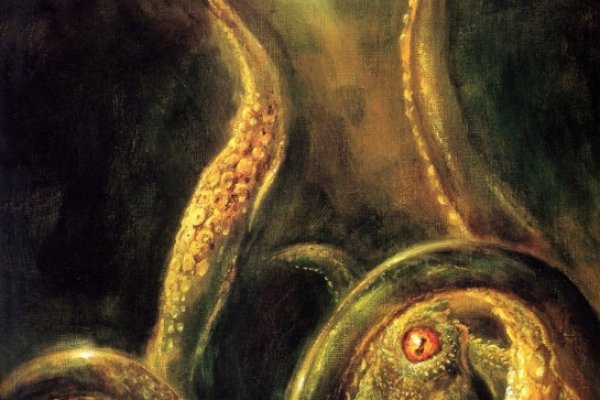 Kraken dark