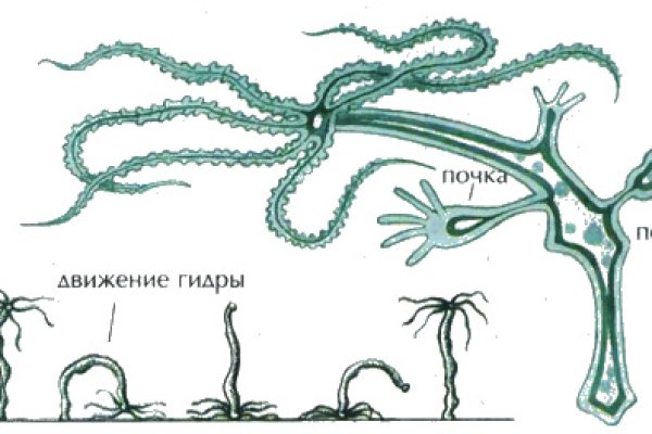 Кракен маркет даркнет скачать