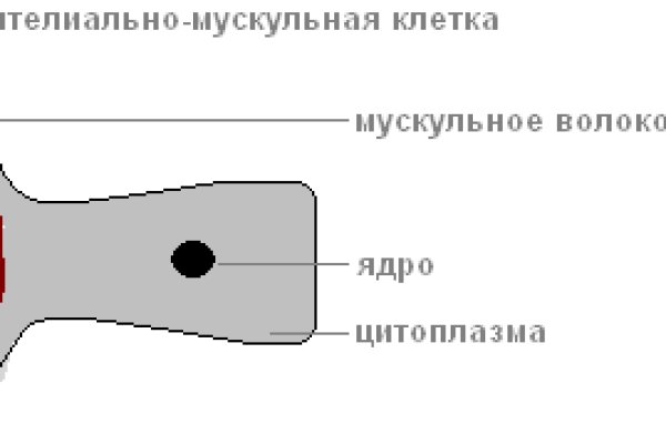 Kra31.cc