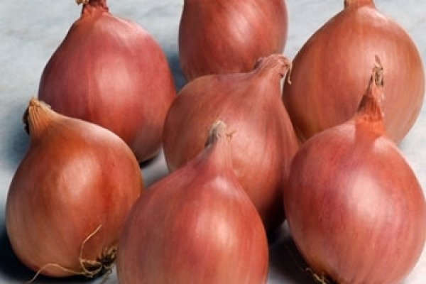 Kraken 2025 ссылка